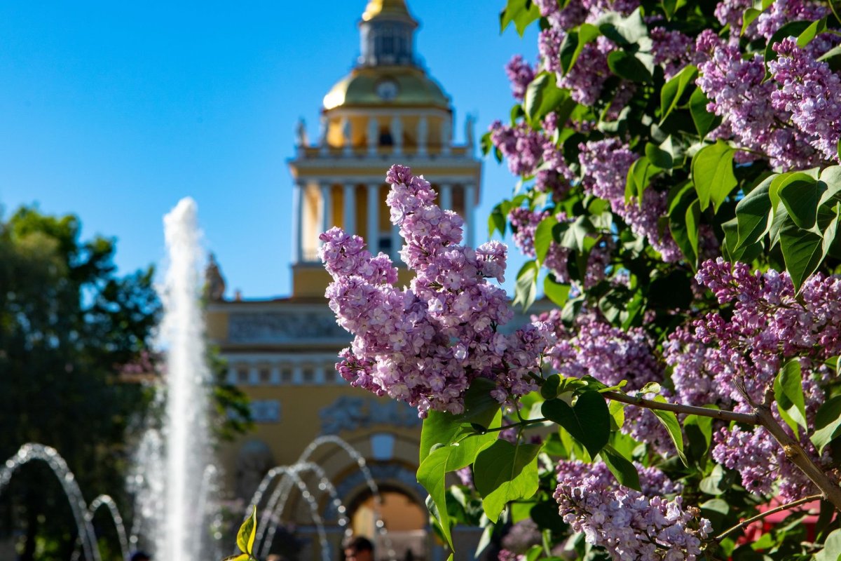 Весенний Питер Михайловский замок сирень