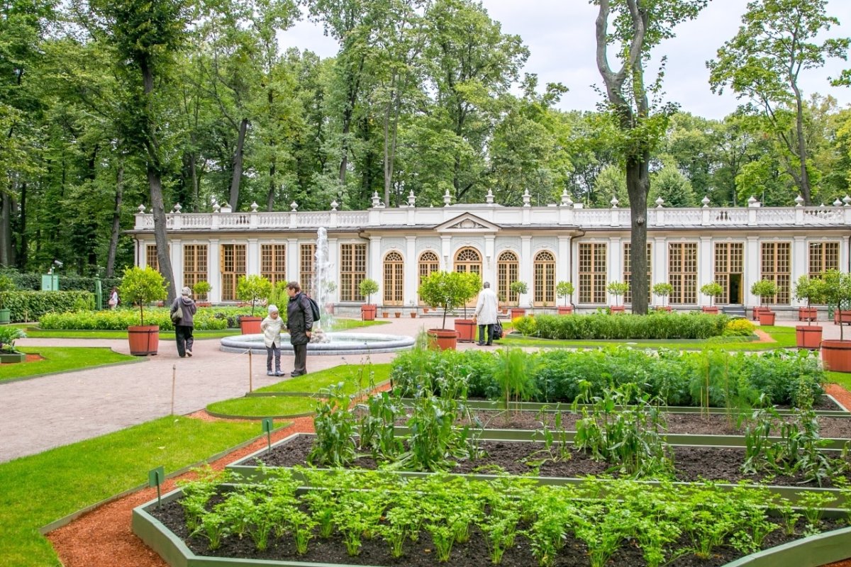 Летний сад Петра 1 в Санкт-Петербурге