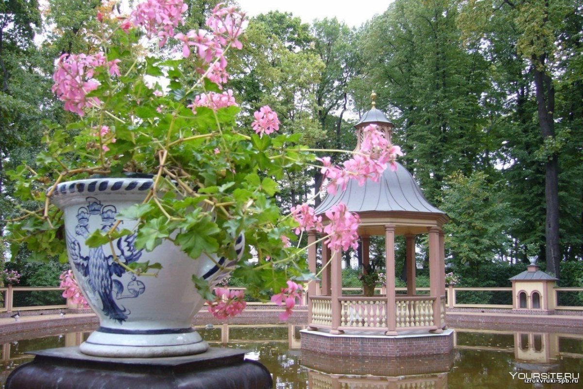 Экскурсия в летний сад в Санкт-Петербурге