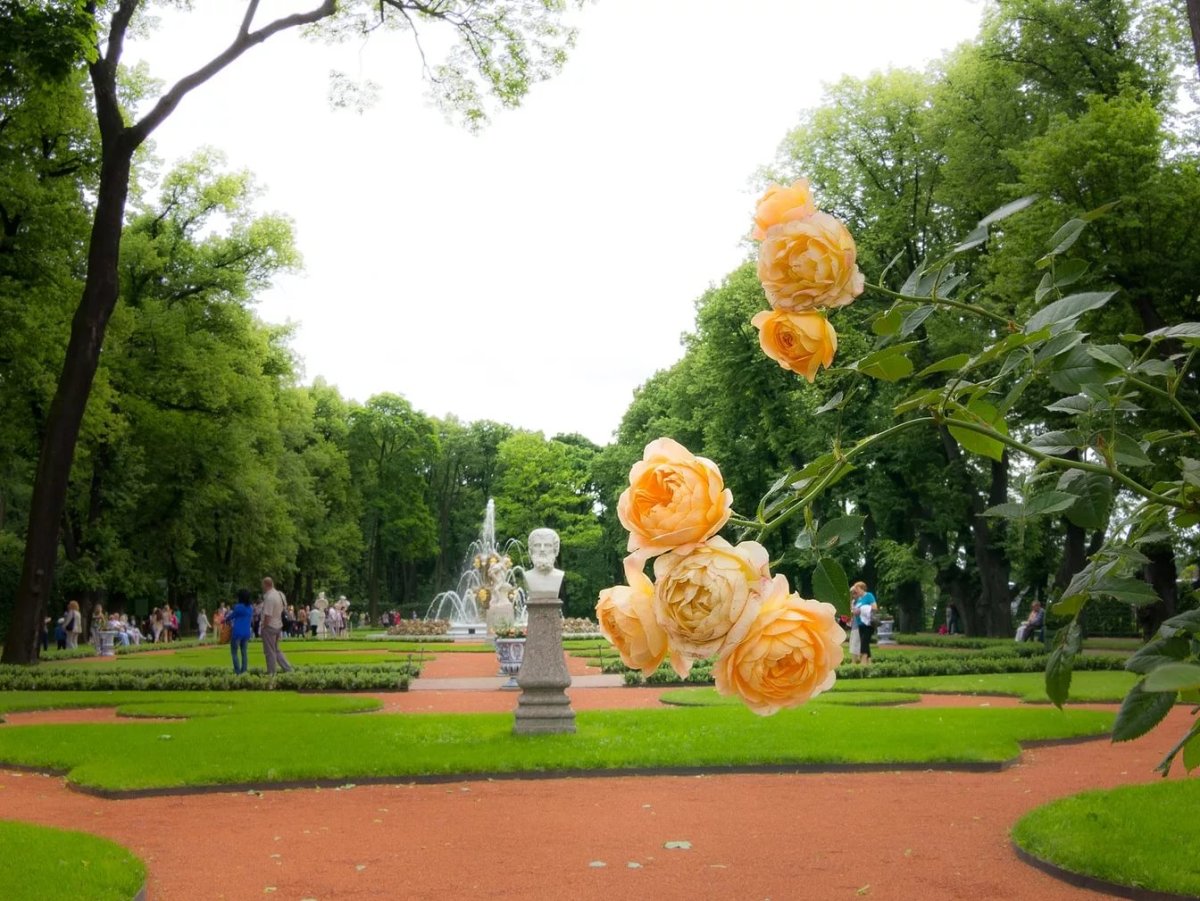 Летний сад СПБ