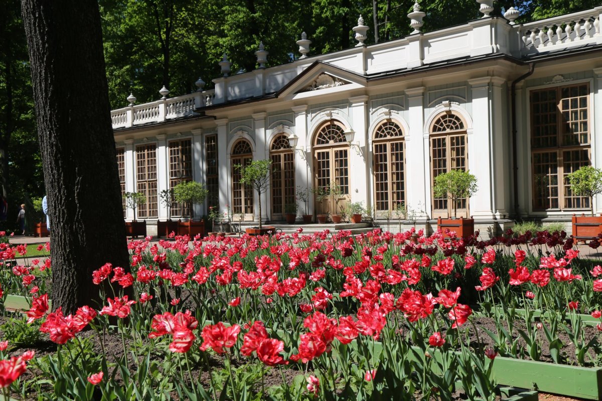 Летний сад Петра