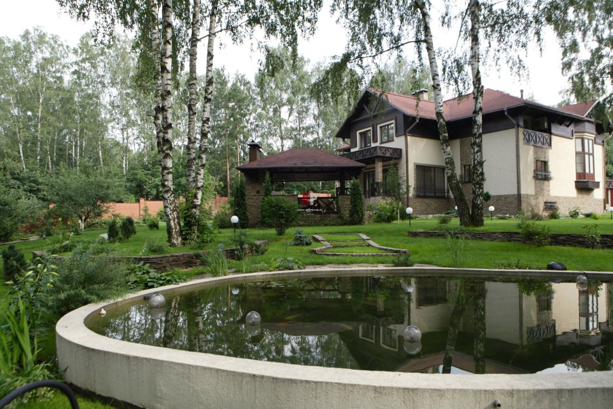 Березы на участке
