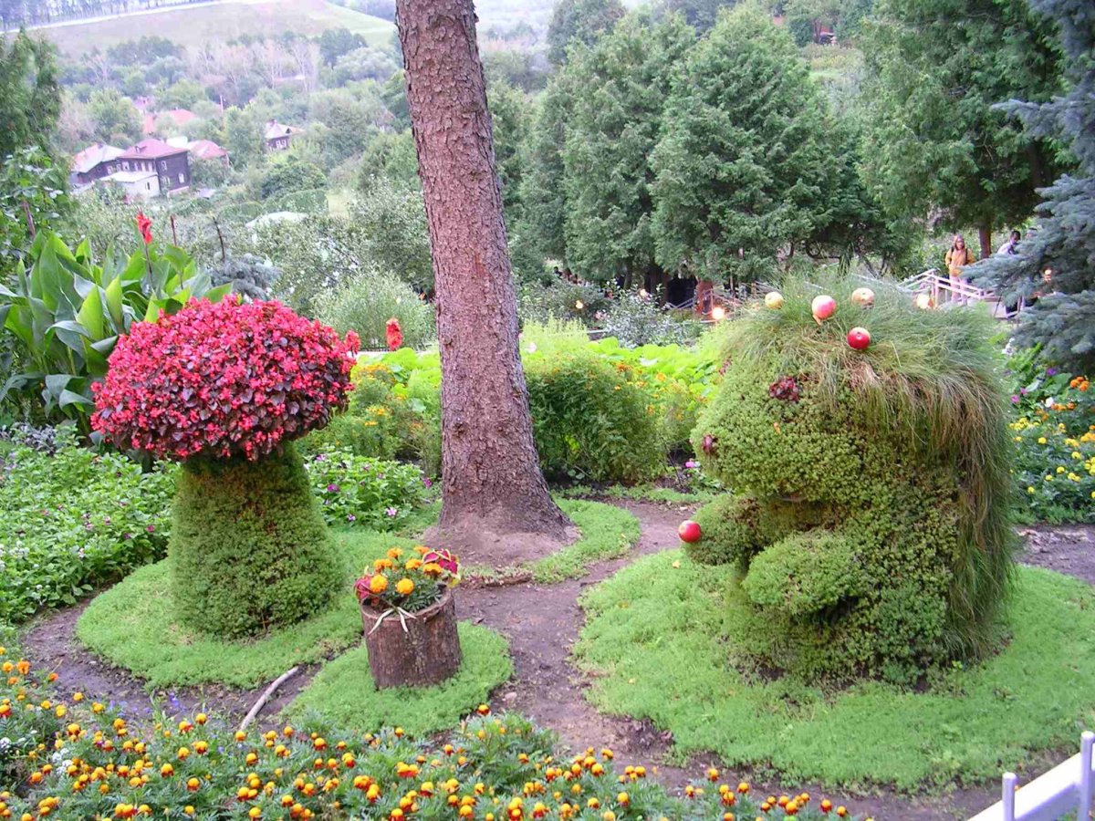 Топиарная клумба