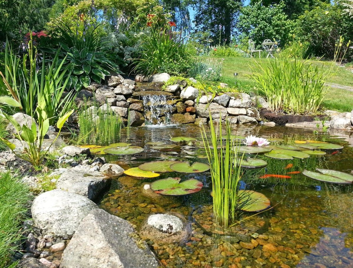 Natural Pond Outdoor Scene.small Blue decorative Pond
