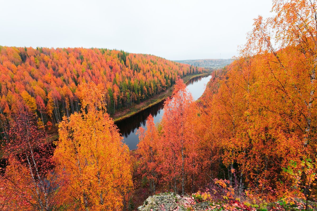 Река Печора осень