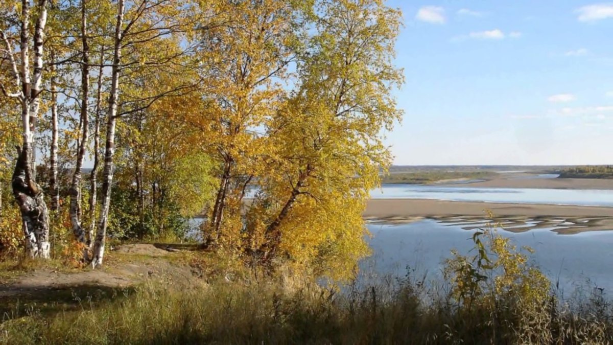 Река Печора осень