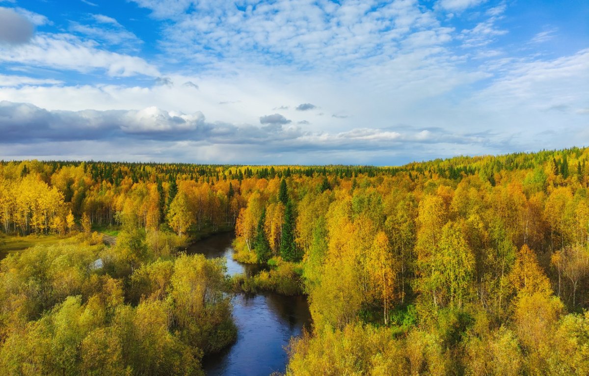 Природа Печерского района