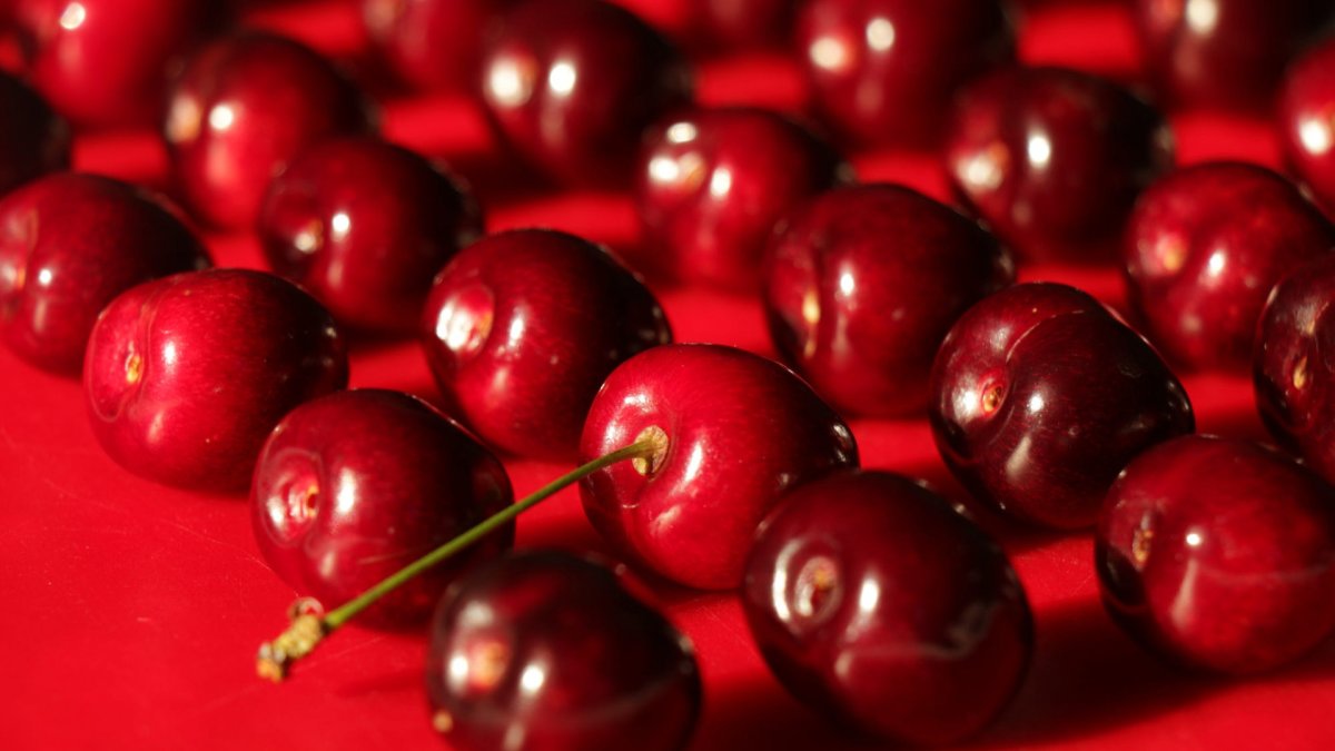 Вишня красная вишня спелая