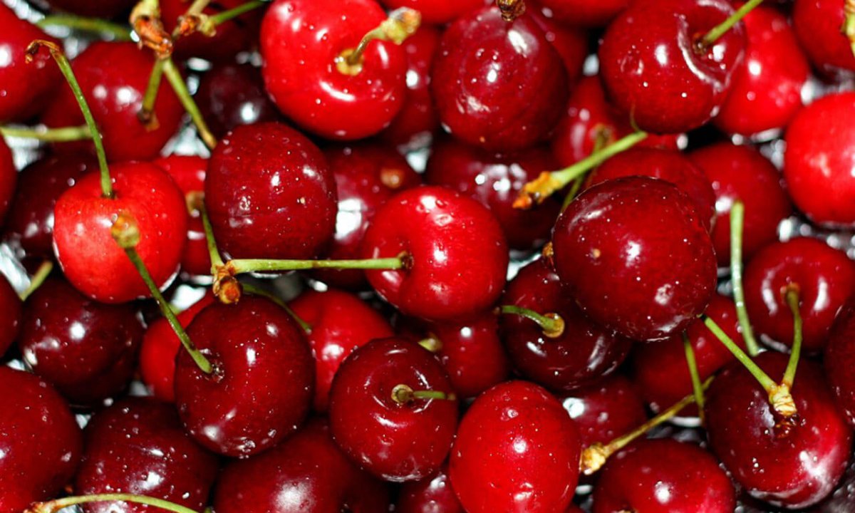 Черешня Дачная