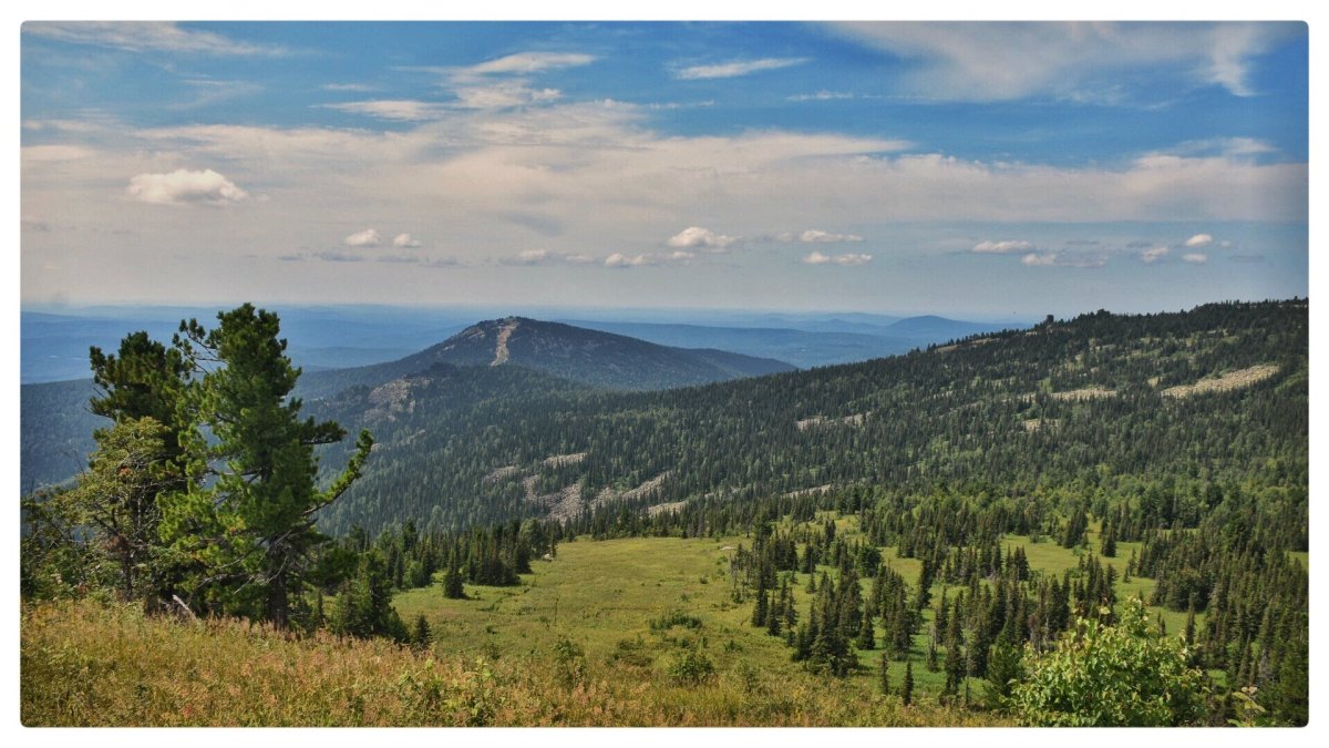 Шория гора зеленая