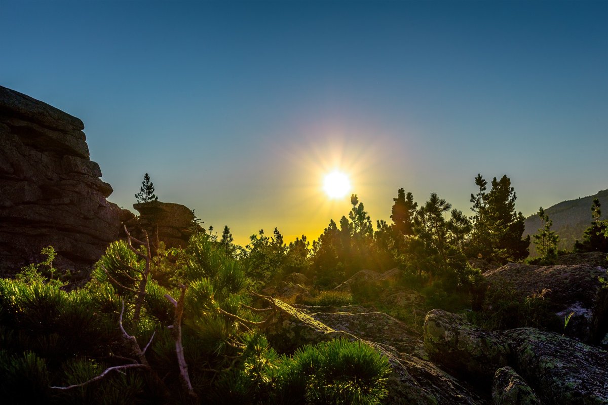 Шерегеш природа лето
