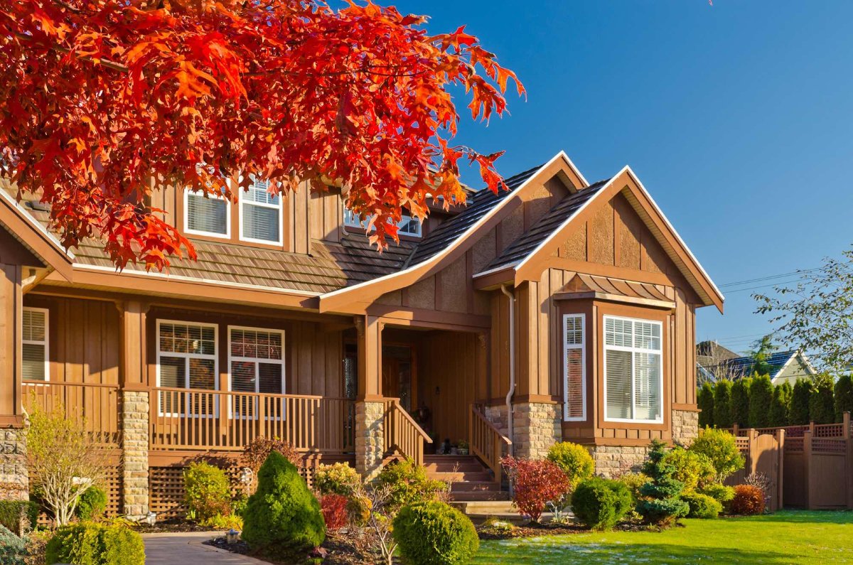 Exterior Home Cleaners