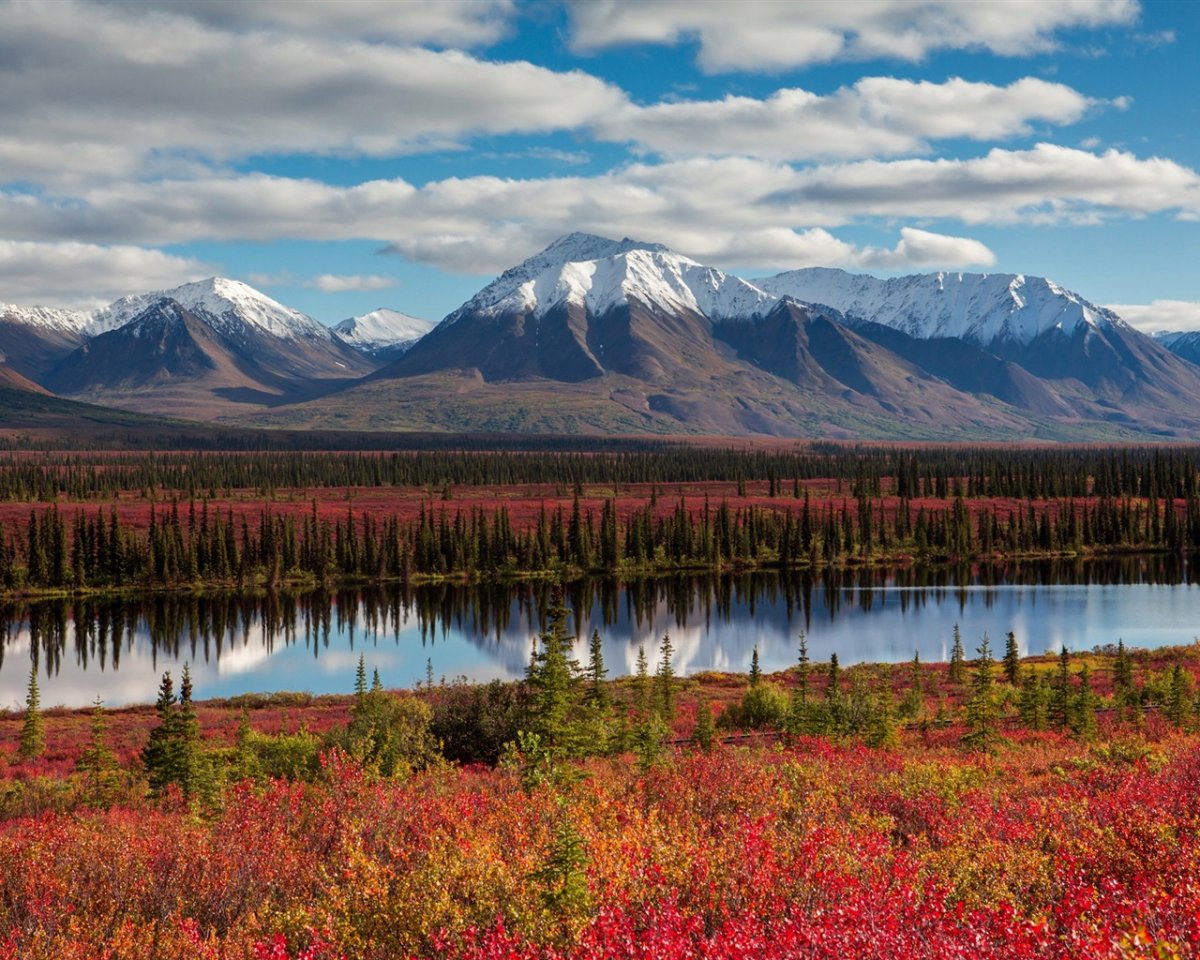 Северная Америка Аляска