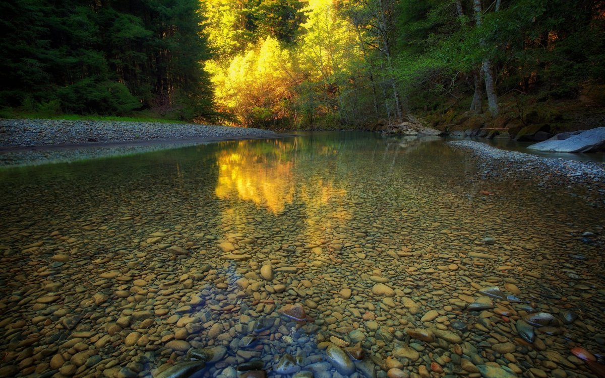 Прозрачная вода в реке