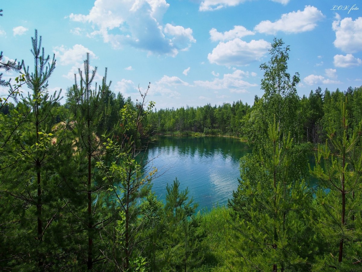 Кадры природы в Курской области