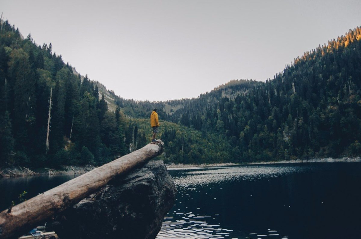 Wood trip