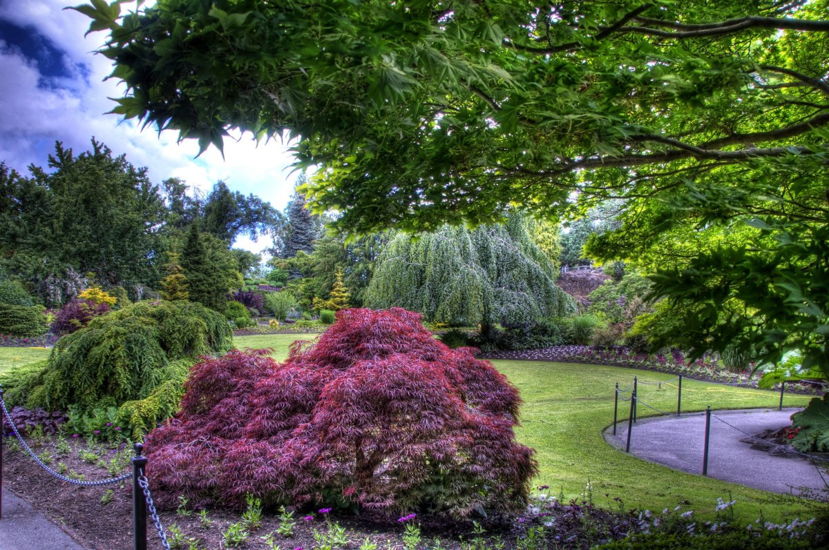 Канада сады Queen Elizabeth Garden Ванкувер