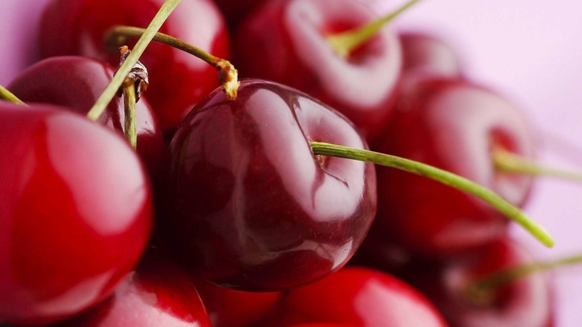 Вишня "Red Cherry"