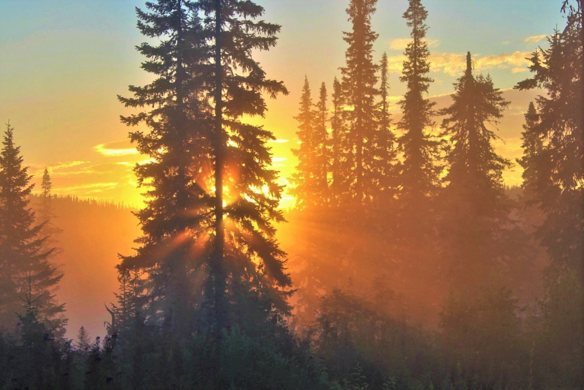 Рассвет в Сибири