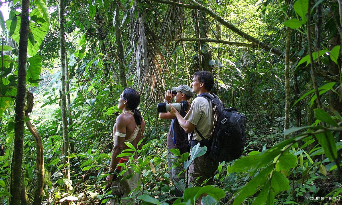 Huaorani Ecolodge