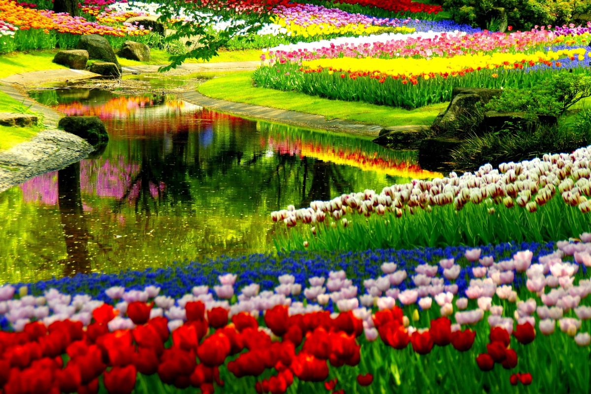 Весенний сад (Spring Topiary Garden)