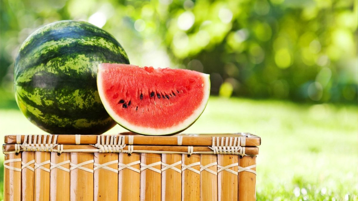 Forever Summer Watermelon