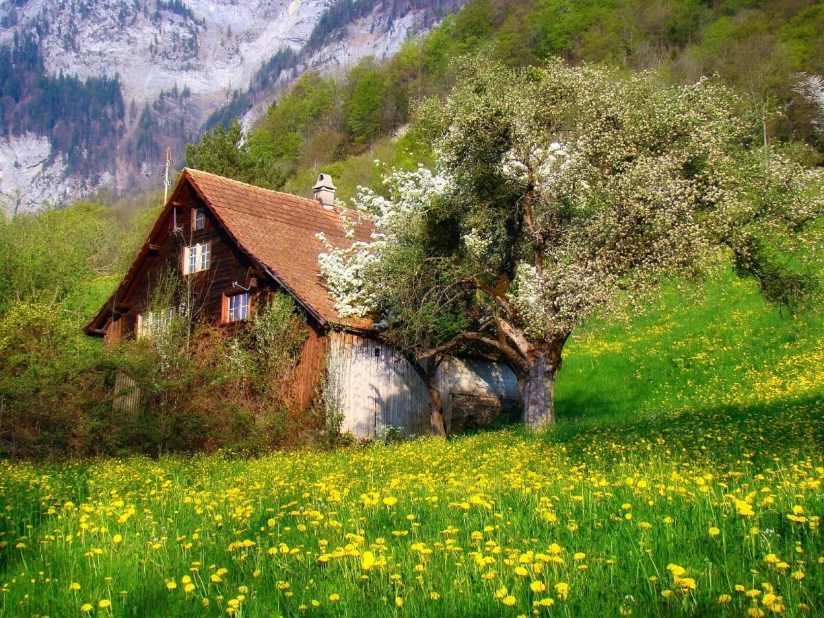 Швейцария поля Луга домик