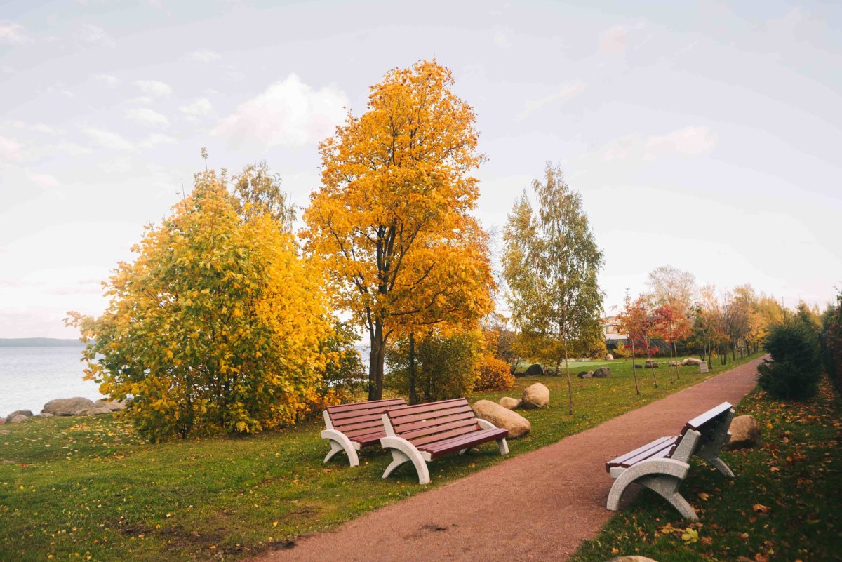 Осенний Петрозаводск