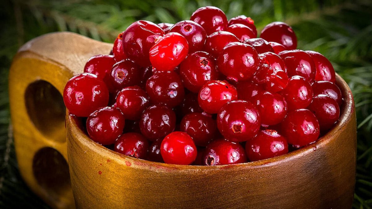 Cranberries ягода