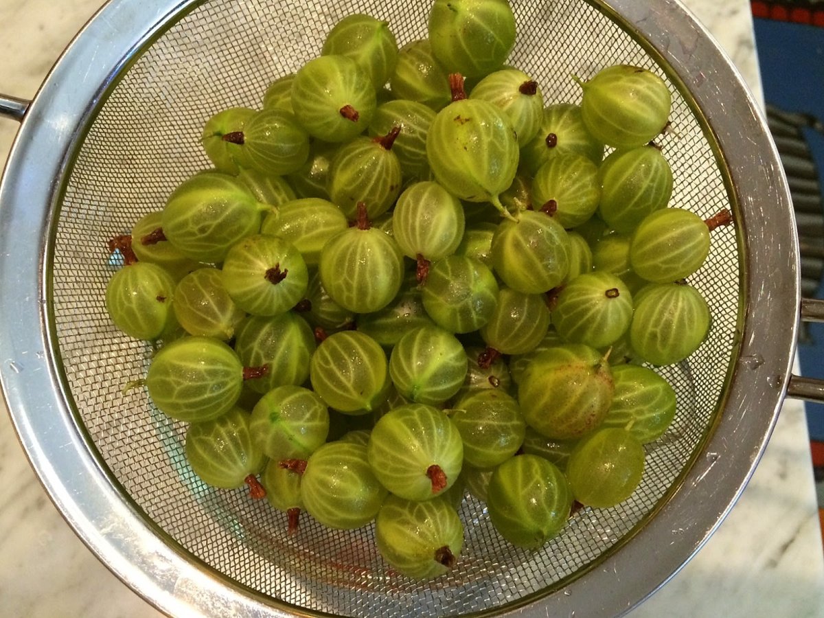 Маст хэв крыжовник