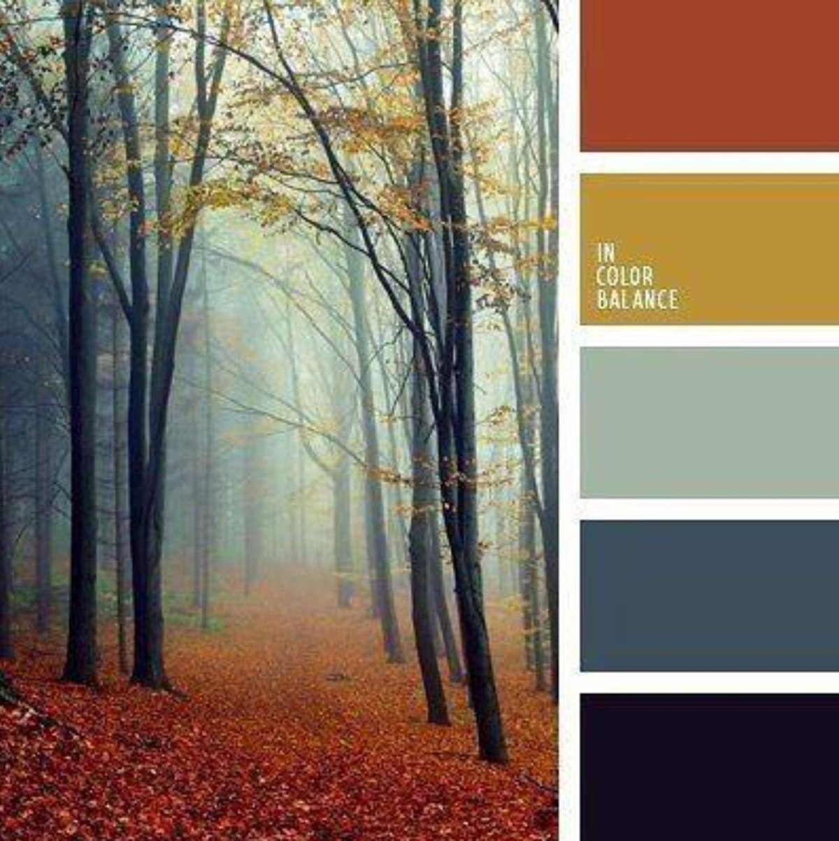 Охра сочетания. Цветовые сочетания. Осенние цвета. Цветовая гамма осень. Красивая цветовая гамма.
