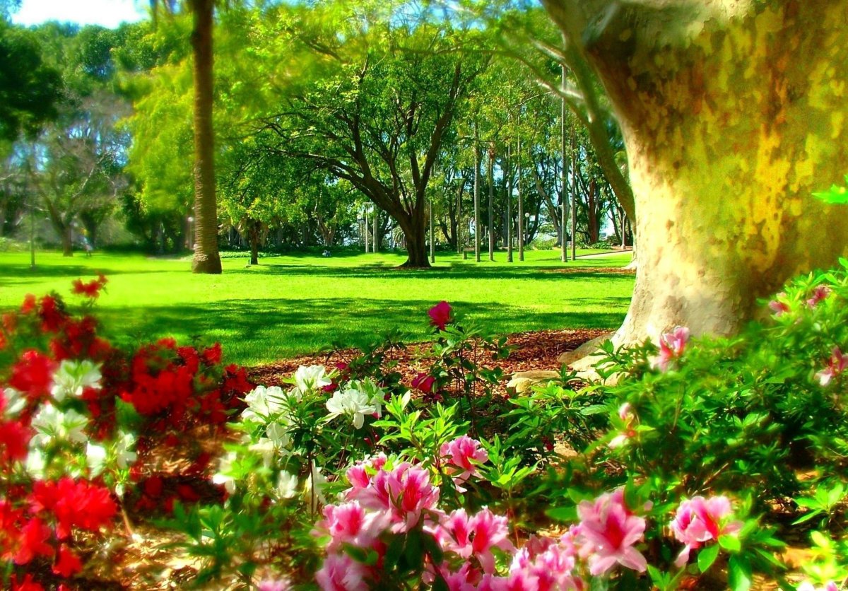 Весенний сад (Spring Topiary Garden)