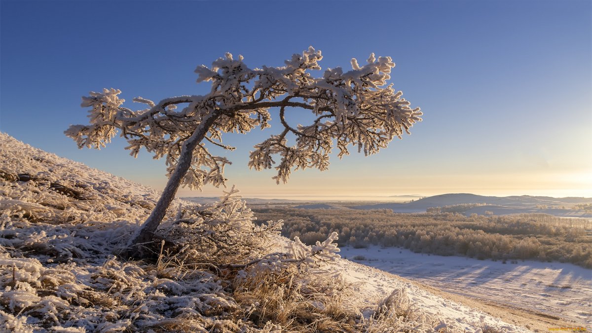 Зимняя даль фото