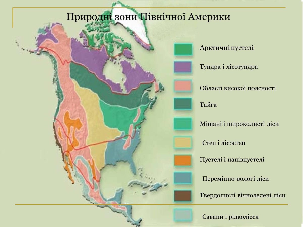 Карта природных зон Северной Америки 7 класс география