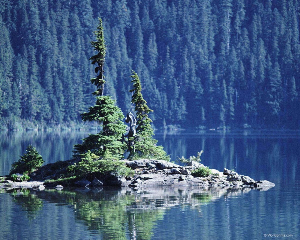 Северная Америка