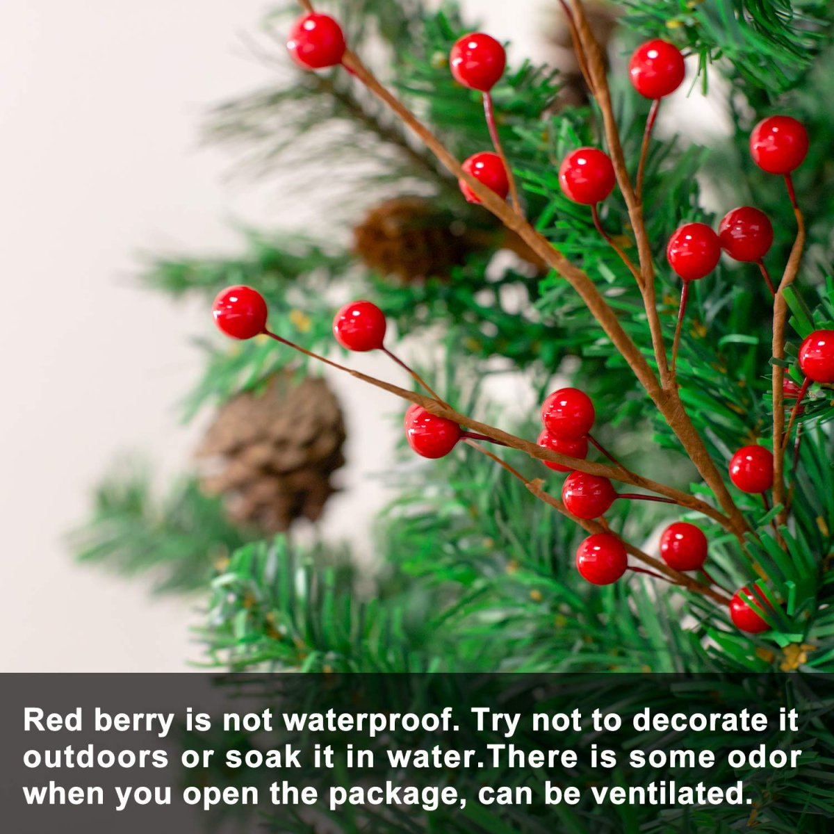 Red Berry for Christmas is Called