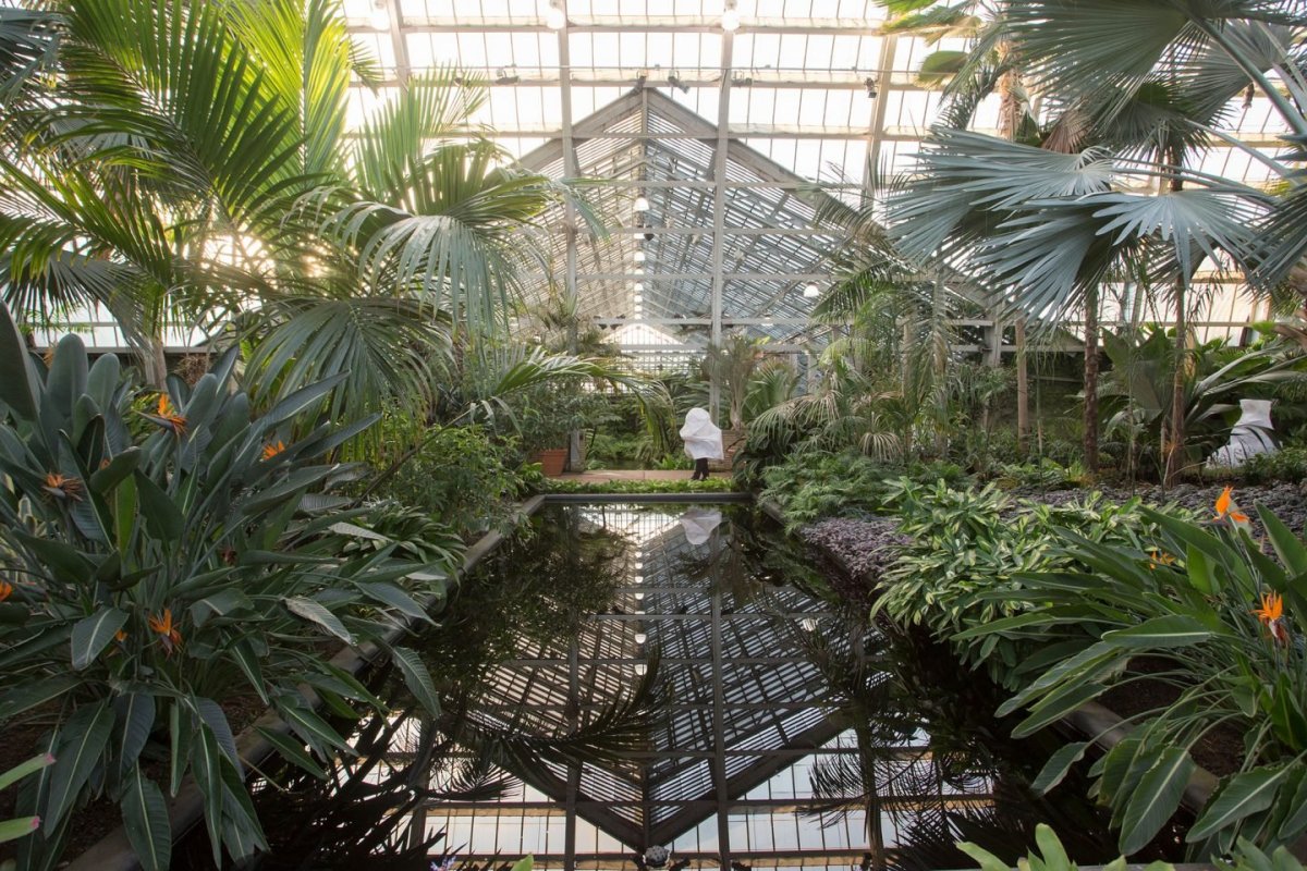 Garfield Park Conservatory Chicago
