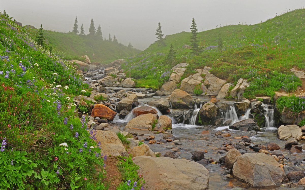 Камни в реке