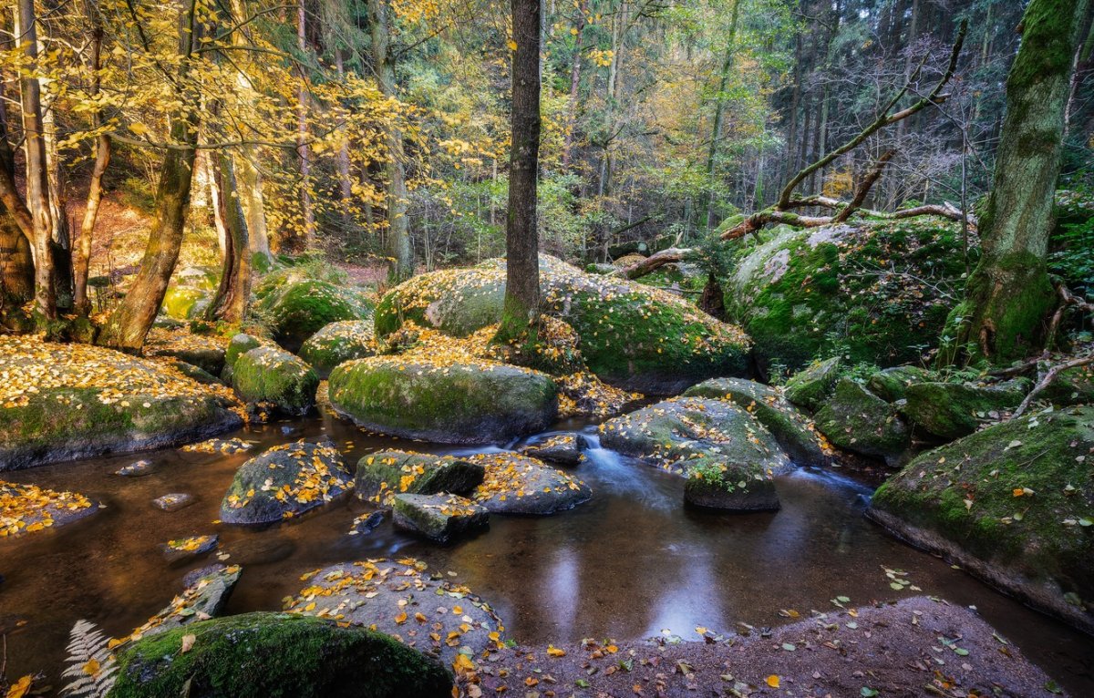 Франконский лес Бавария