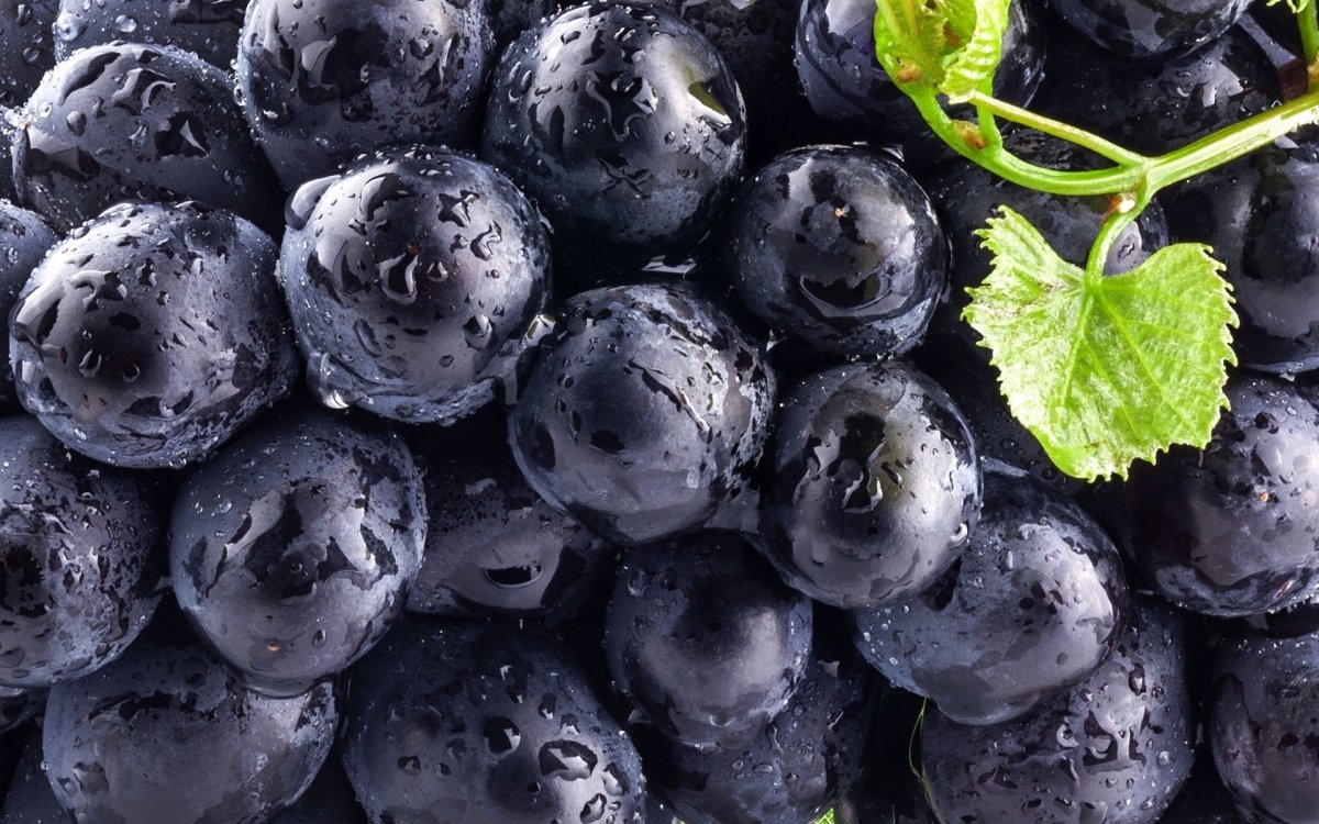 Blueberry виноград