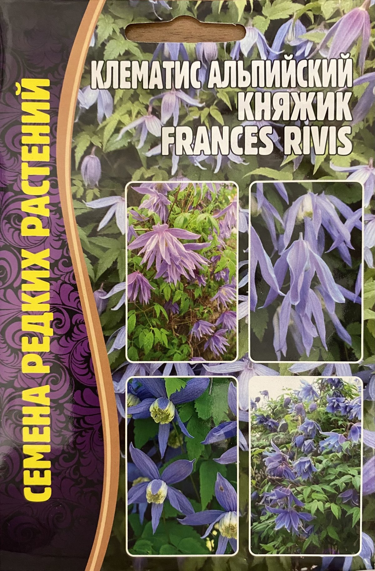 Клематис Альпийский княжик Frances Rivis