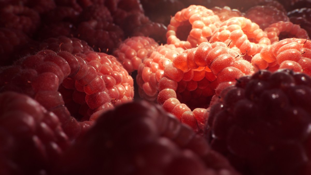 Raspberry обои