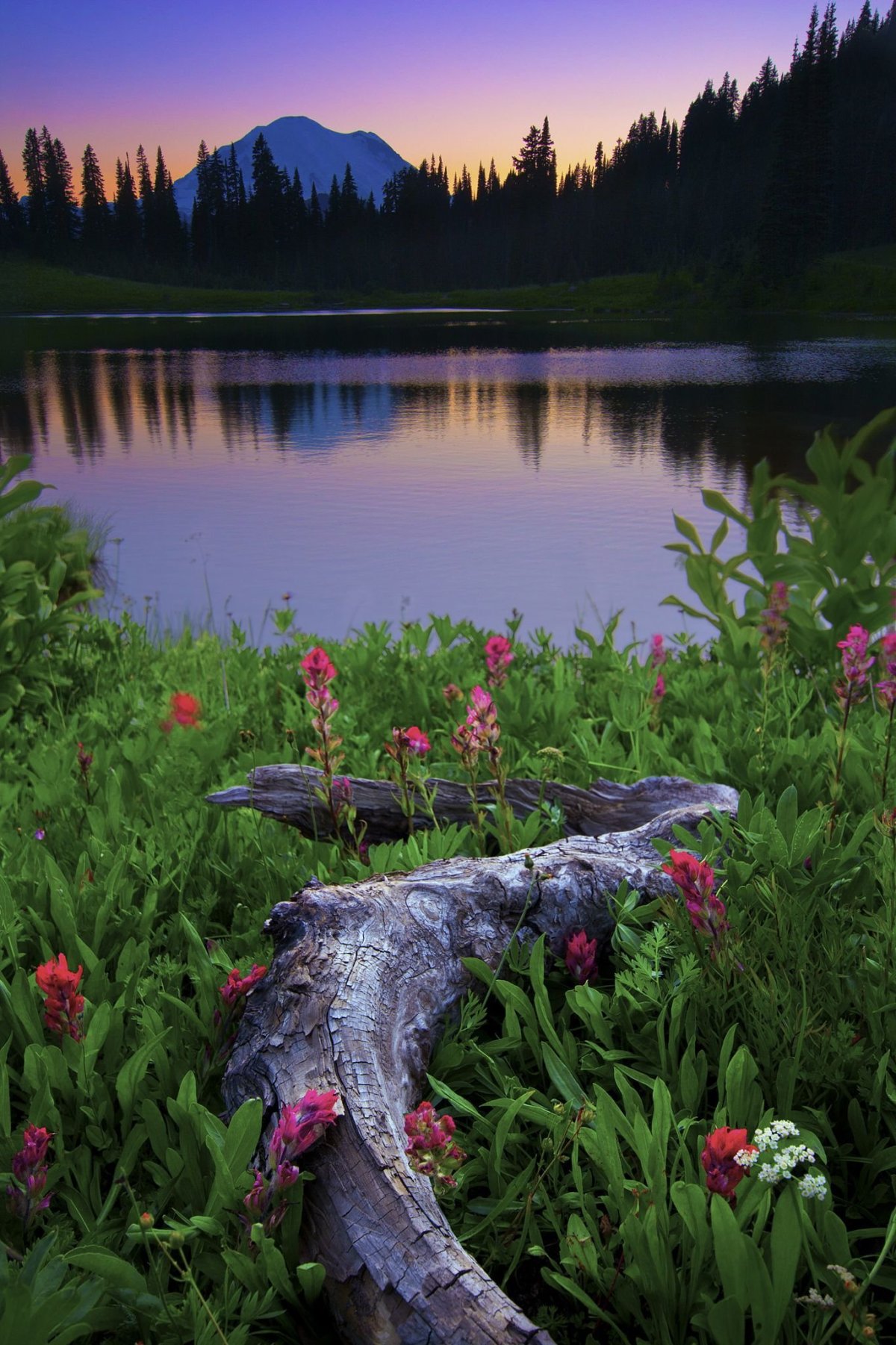 Canada Mountains