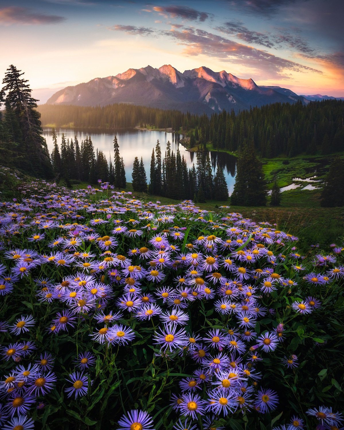Постер природа