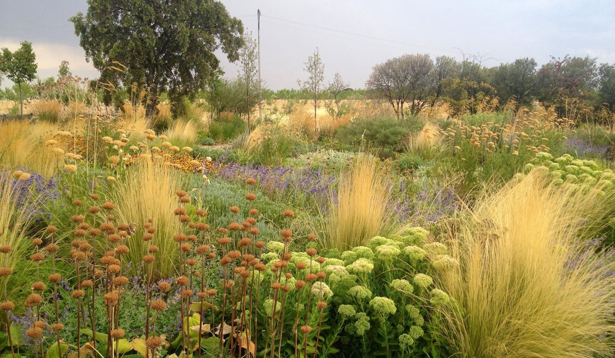 Girard Landscaping
