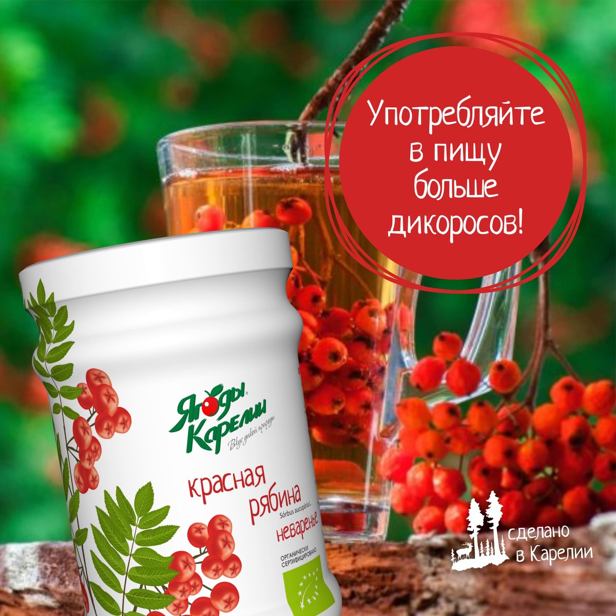 Рябина