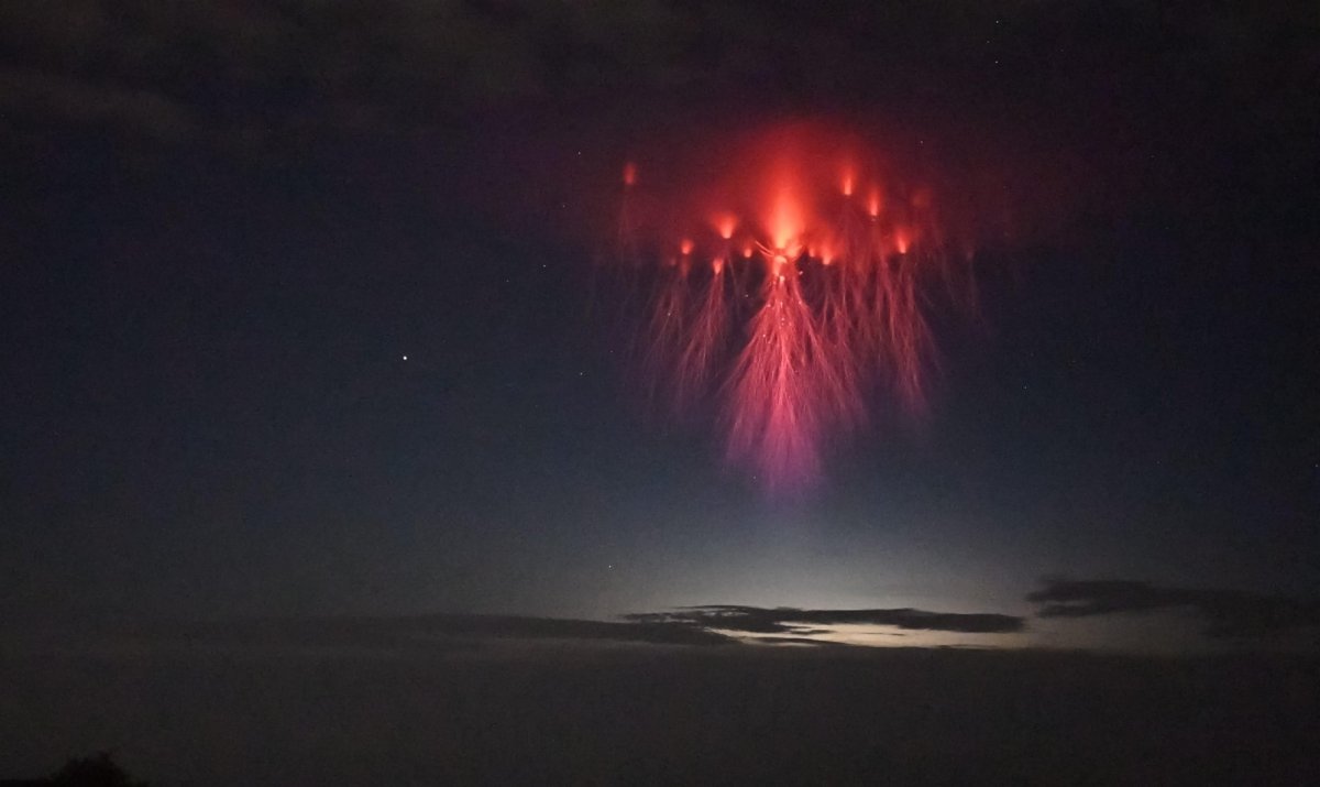 Фотограф Стивен хаммел