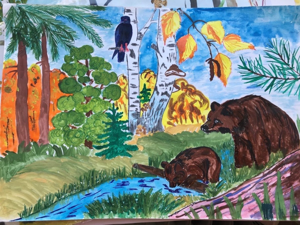 Мир природы рисунок