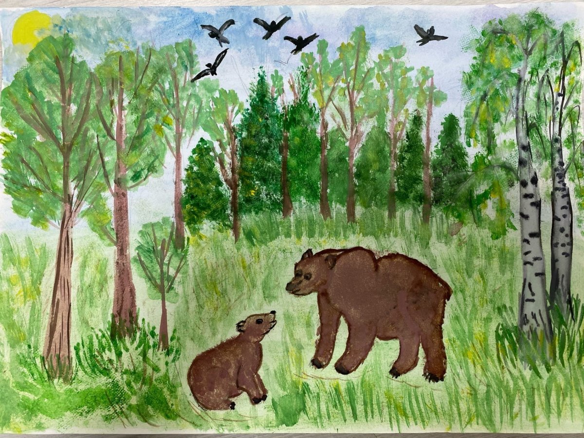 Заповедник большая Кокшага рисунок