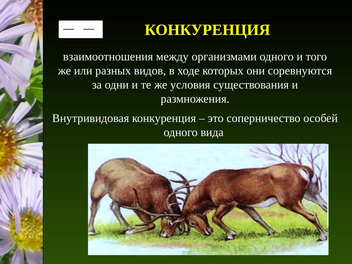 Мутуализм комменсализм аменсализм паразитизм нейтрализм